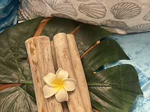 カンボジアの木